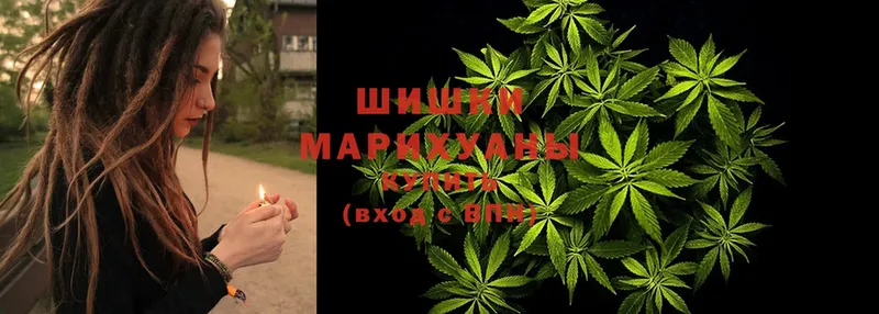 OMG ссылки  Гусев  Каннабис планчик 